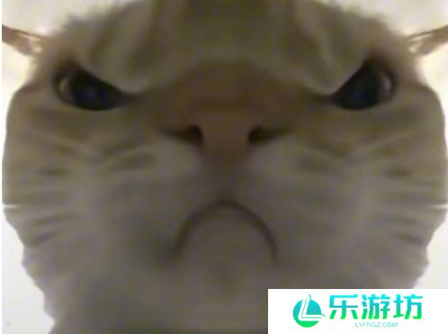 网络用语鼠鼠猛攻是什么梗