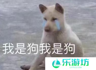 网络用语cwm小国际是什么梗