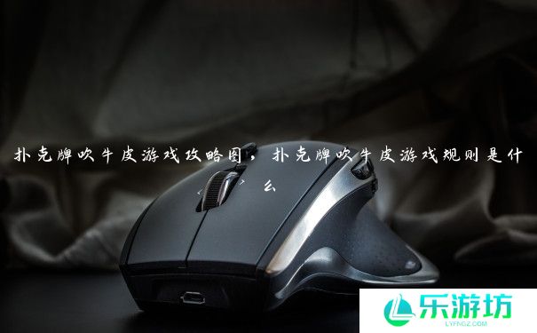 扑克牌吹牛皮游戏攻略图,扑克牌吹牛皮游戏规则是什么 扑克牌吹牛皮游戏攻略图,扑克牌吹牛皮游戏规则是什么