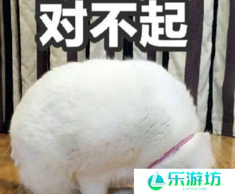 网络用语寸不已是什么梗