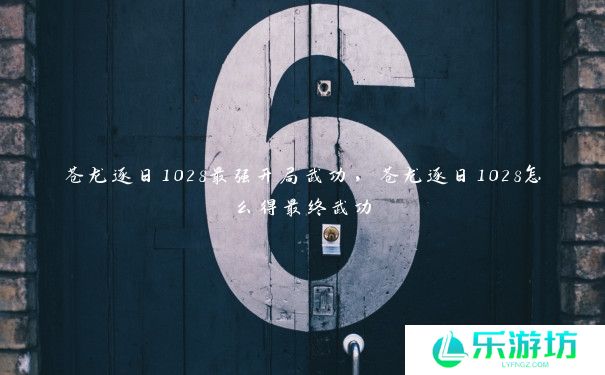 苍龙逐日1028最强开局武功,苍龙逐日1028怎么得最终武功 苍龙逐日1028最强开局武功,苍龙逐日1028怎么得最终武功