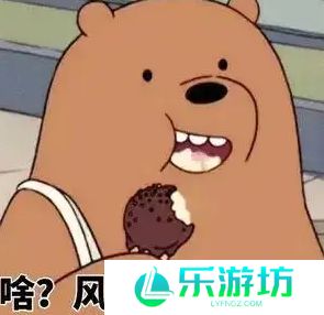 网络用语风太大我听不见是什么梗
