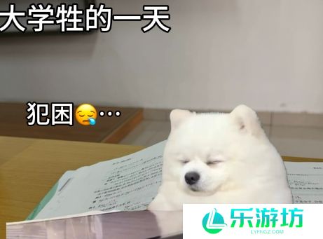 网络用语大学牲是什么梗
