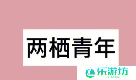 网络用语两栖青年是什么梗