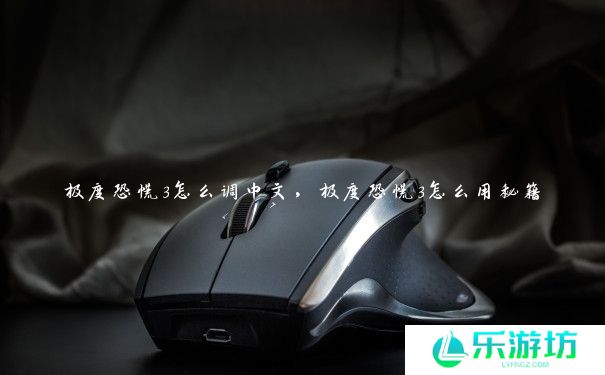 极度恐慌3怎么调中文,极度恐慌3怎么用秘籍 极度恐慌3怎么调中文,极度恐慌3怎么用秘籍