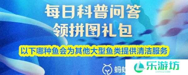 以下哪种鱼会为其他大型鱼类提供清洁服务