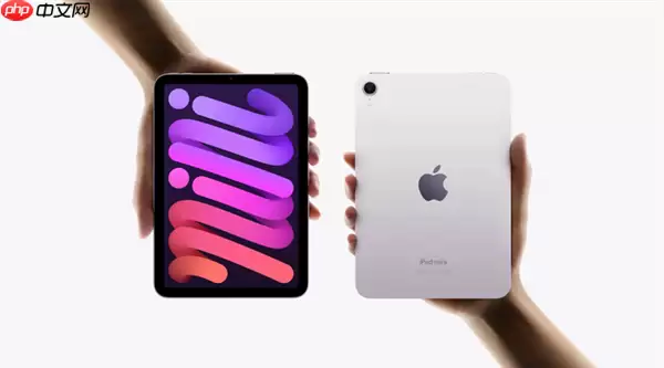 iPad mini 8明年见：性能最强、性价比超高的小平板