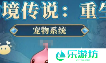 仙境传说重生宠物获取方法 仙境传说重生宠物怎么获取