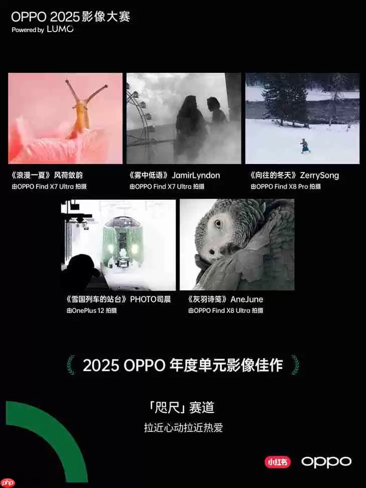 点亮感动时刻  OPPO 2025影像大赛获奖作品正式公布