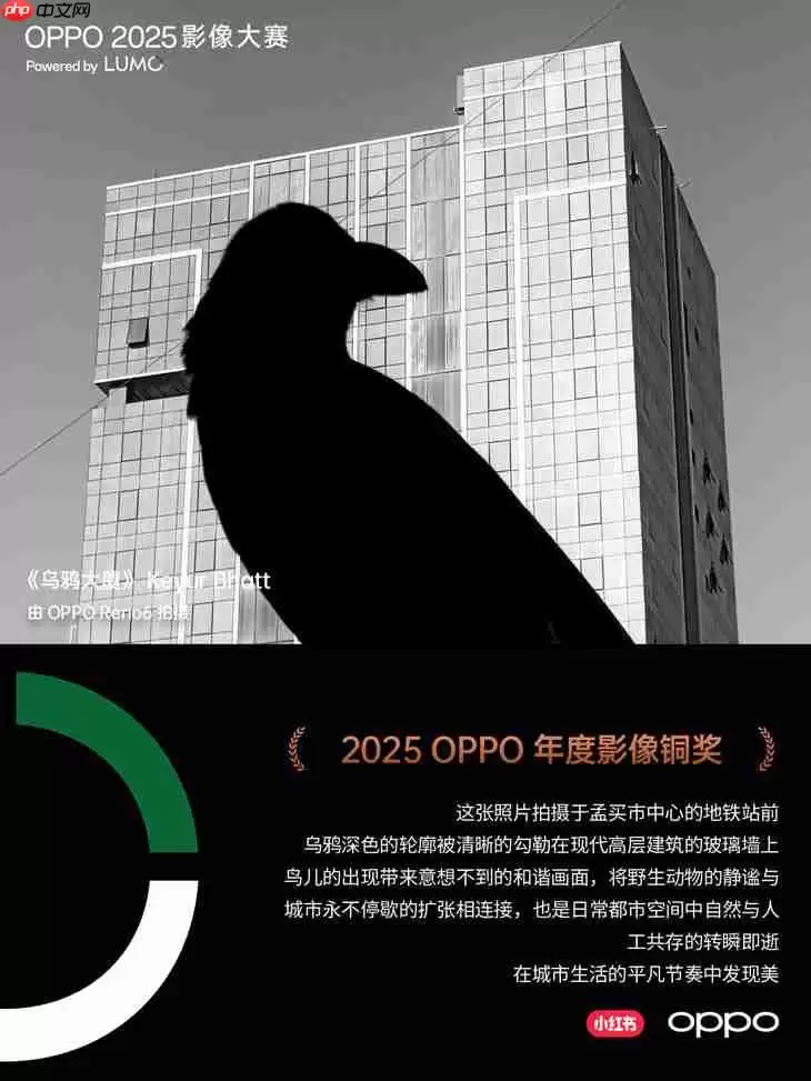 点亮感动时刻  OPPO 2025影像大赛获奖作品正式公布
