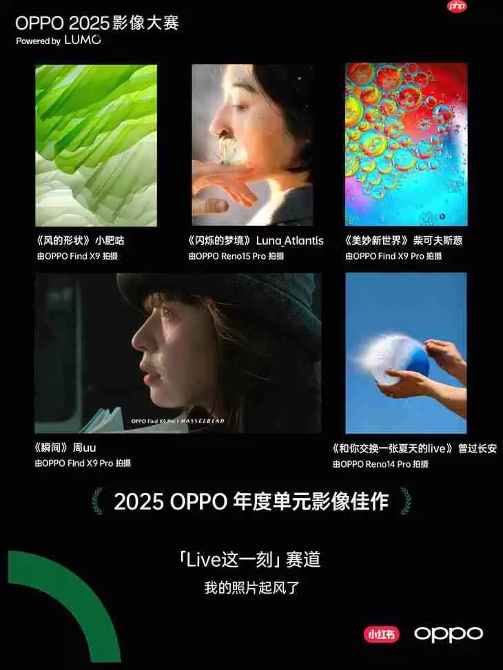 点亮感动时刻  OPPO 2025影像大赛获奖作品正式公布