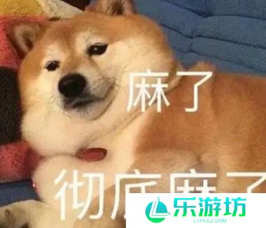 网络用语麻了麻了是什么梗