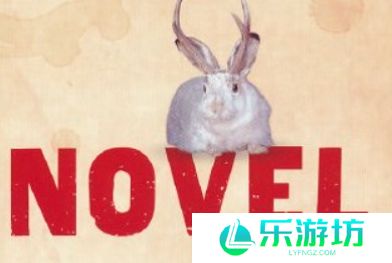 网络用语Novel是什么梗