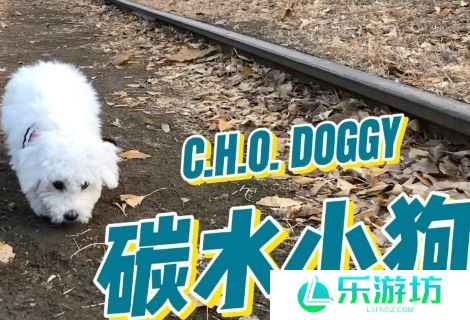 网络用语碳水小狗是什么梗