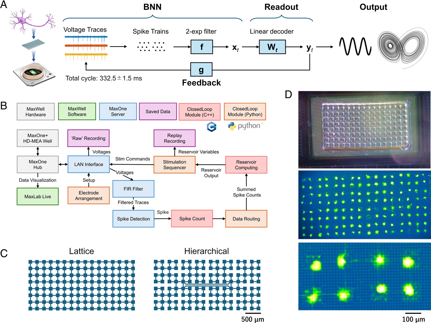日本团队训练大鼠神经元，可实时执行 AI 计算任务